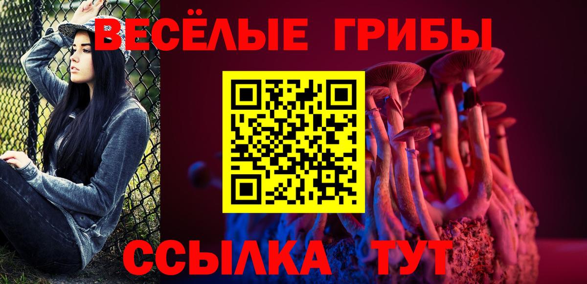 Псилоцибиновые грибы Psilocybine cubensis Электросталь